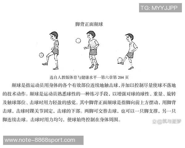 提升运动表现的秘诀足球篮球与体能训练的完美结合探讨